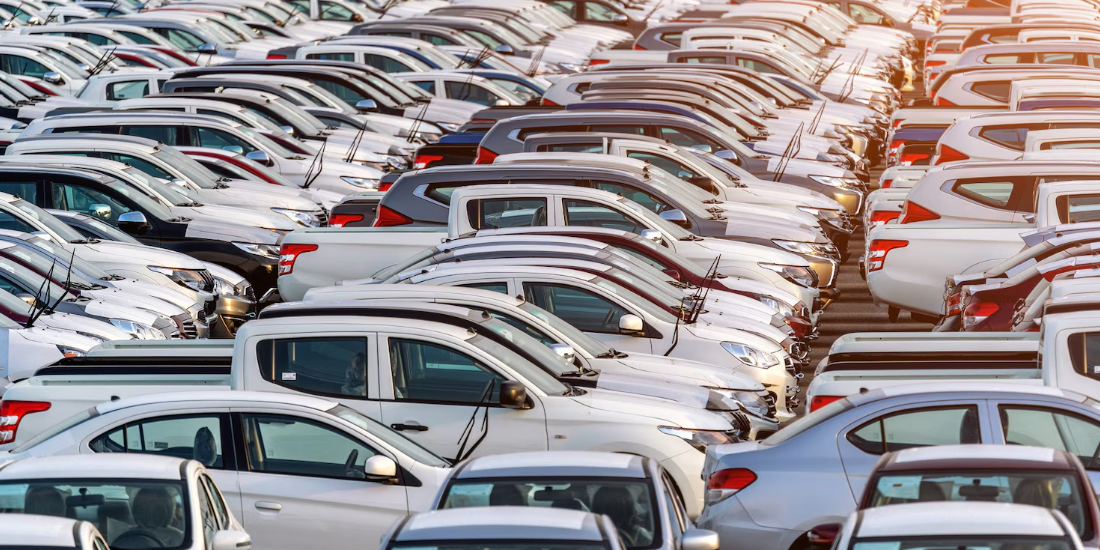 Used Car Dealer